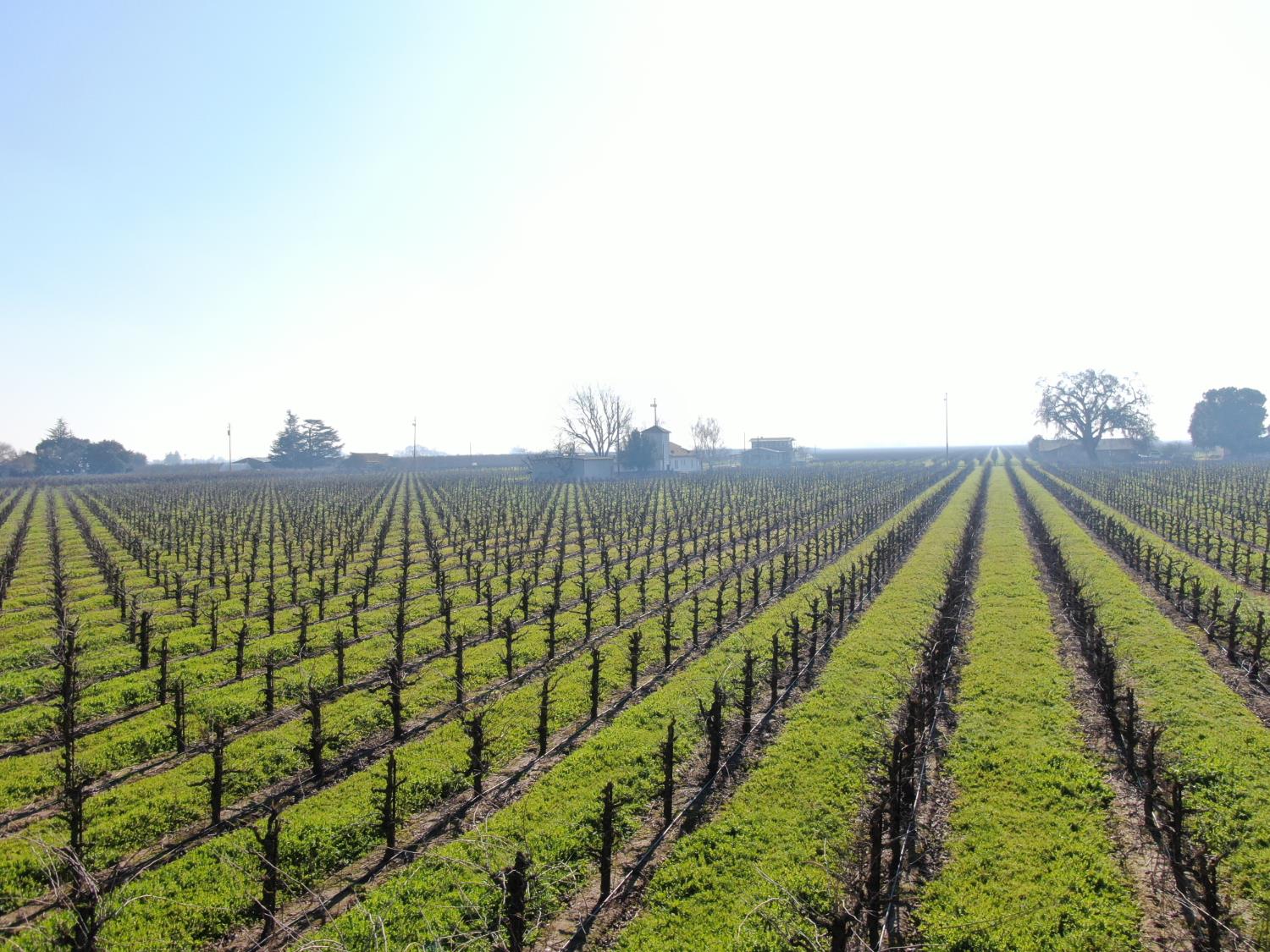 3587 West Sargent Road Lodi, CA 95242 - Photo 4 of 16