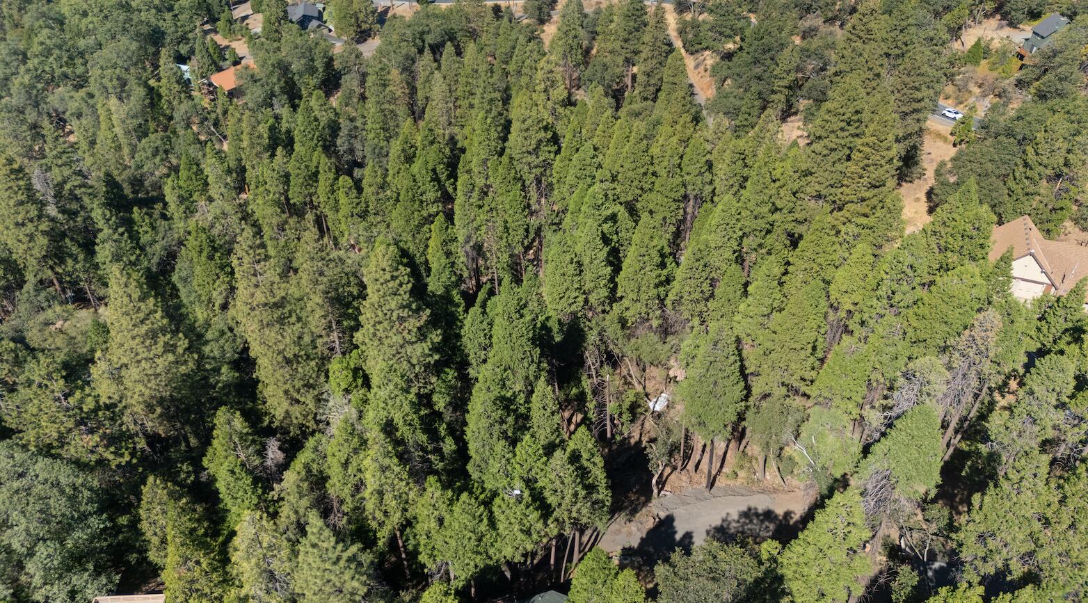 1482 Forest Rte 21S94 Springville, CA 93265 - Photo 2 of 7 Screenshot 2026-08-25 at 11.24.42 AM