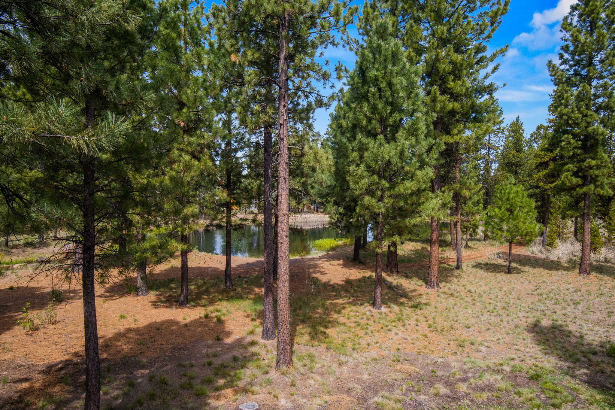 56328 Fireglass Loop, Unit 175 Bend, OR 97707 - Photo 45 of 72 View from second level deck of Fireglass Lake.
