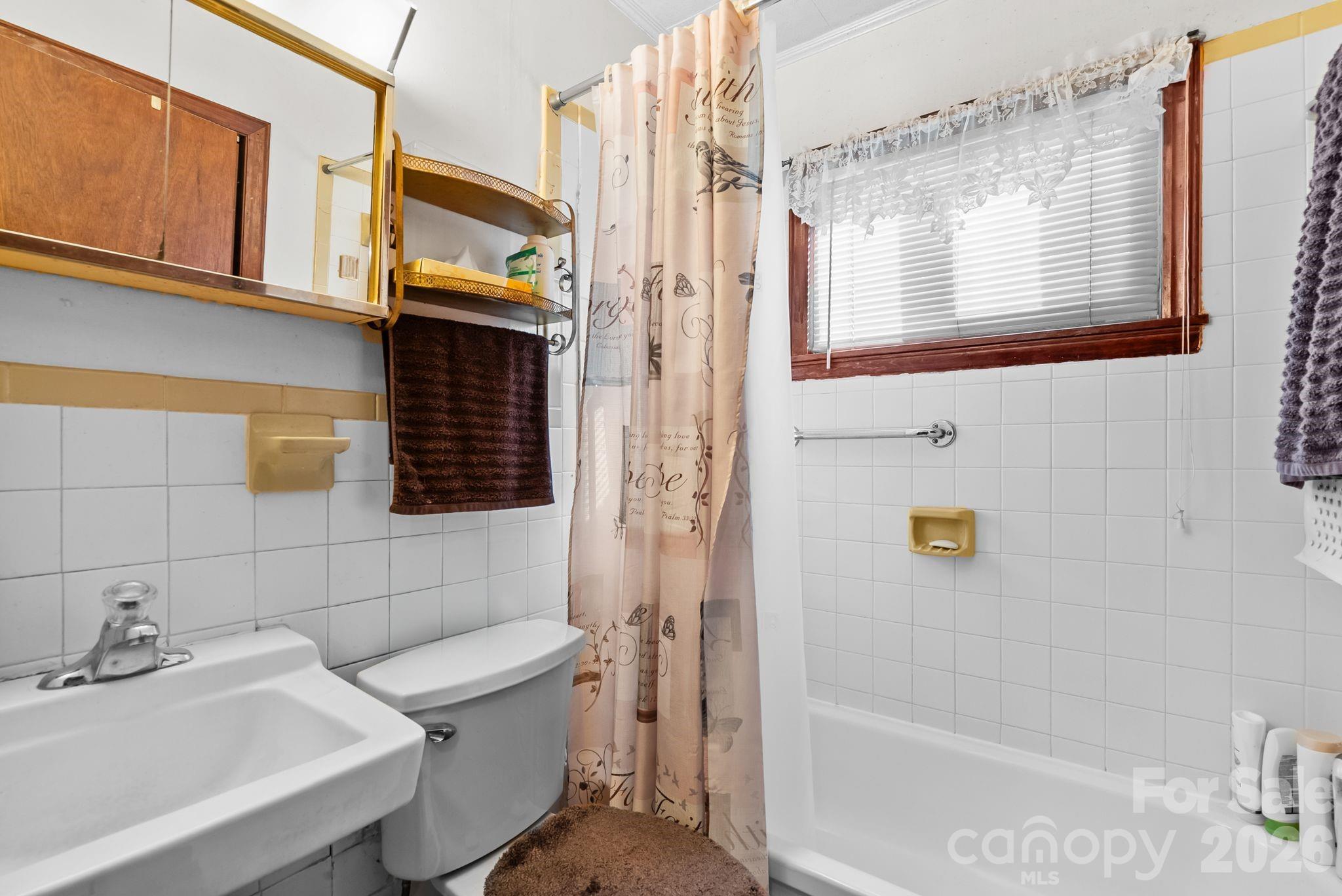 148 Monteith Road Brevard, NC 28712 - Photo 19 of 39 a bathroom with a sink a toilet and shower