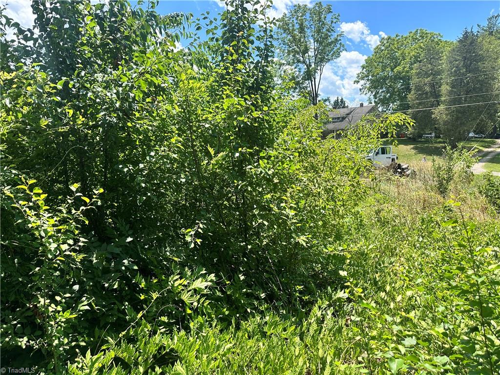 309 Ararat Longhill Road Pilot Mountain, NC 27041 - Photo 29 of 34