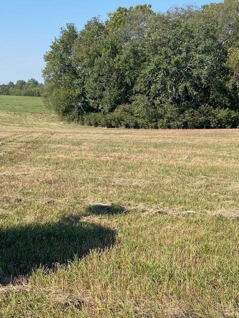 0 Bauserman Road Easton, KS 66020 - Photo 4 of 7