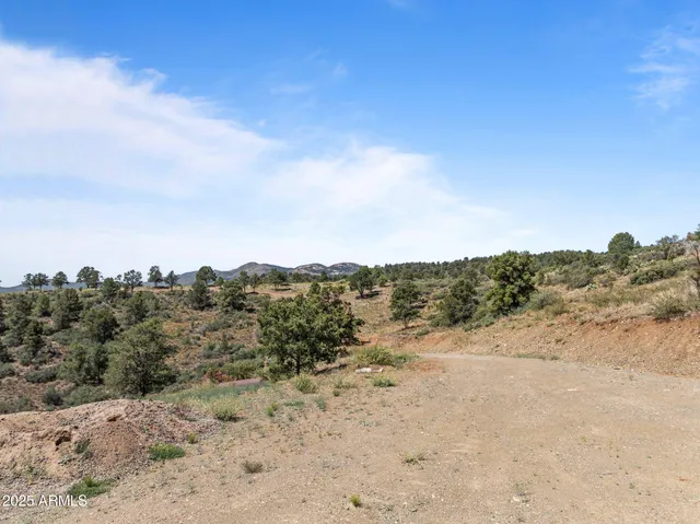a view of a dry yard with mountains in the background