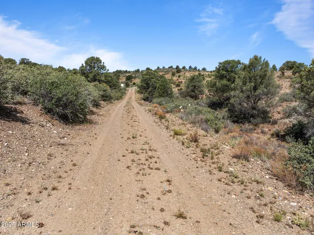 a view of a dry field with trees in the background