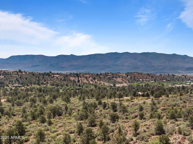 a view of a lush green field with mountains in the background