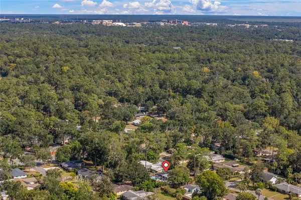 a view of a field with a tree and a forest