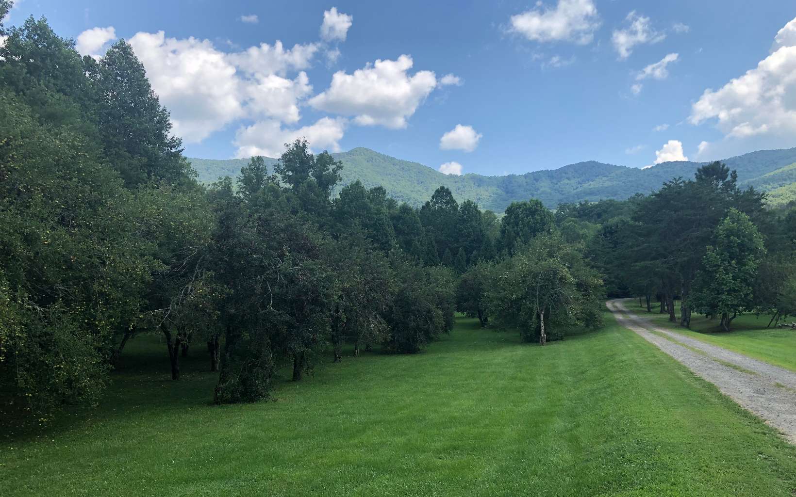 13-14 Bethabara Road Hayesville, NC 28904 - Photo 1 of 1 Main View