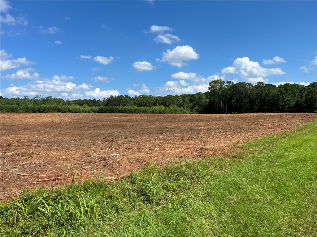 2 Pickens Drive Pendleton, SC 29670 - Photo 4 of 6 Expansive cleared lot with rich earth, bordered by a vibrant tree line under a vast sky.