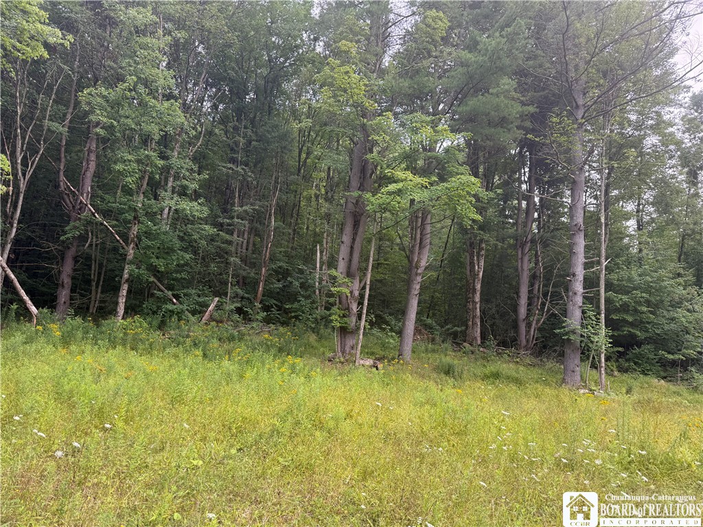 Morgan Hollow Road Olean City, NY 14760 - Photo 5 of 7 Gallery Image 5