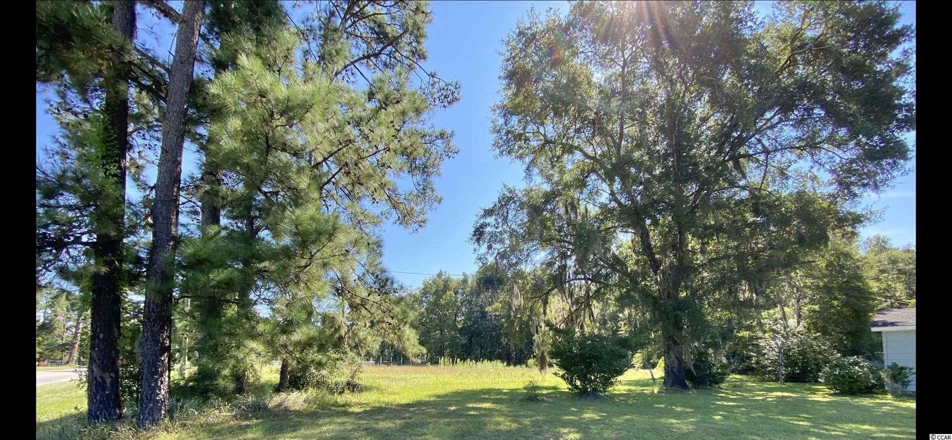 426 Highway 90 Conway, SC 29526 - Photo 20 of 24 Gallery Image 20