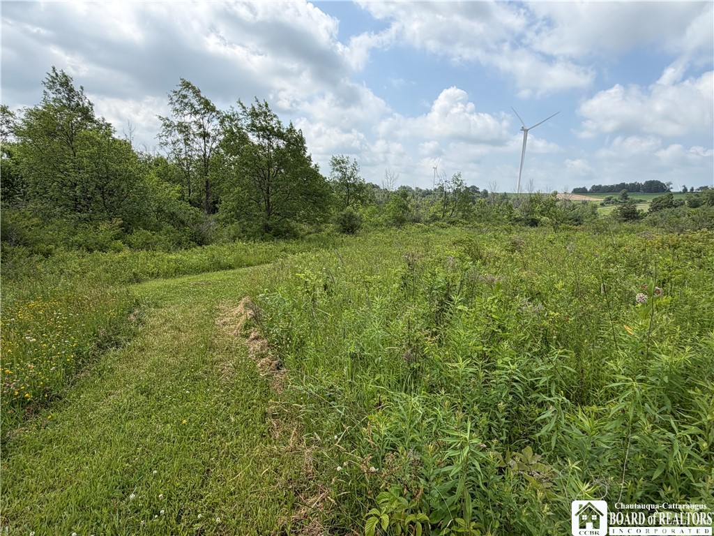 2751 Canfield Road Cohocton, NY 14826 - Photo 37 of 50