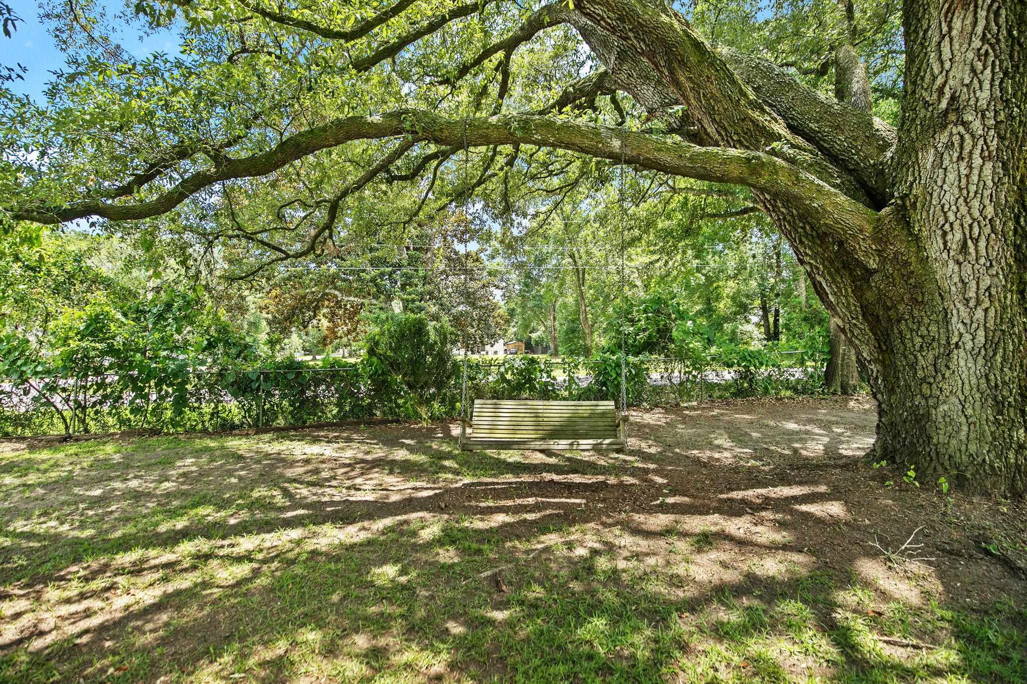 13017 5th Street Lillian, AL 36549 - Photo 31 of 58 Yard