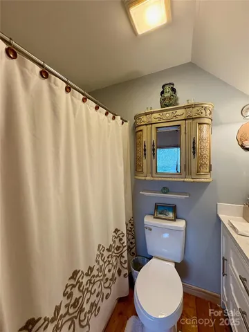 a bathroom with a toilet a sink and a shower curtain