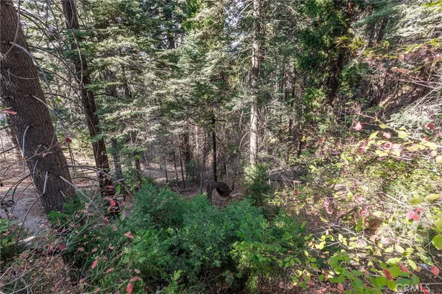 a view of a backyard with sitting area