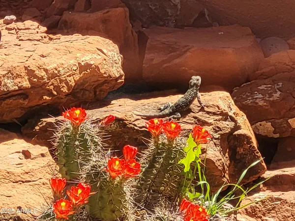 $700,000 | 55 Corte Banca, Sedona, AZ 86351