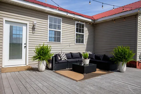 a view of backyard with potted plants and large tree