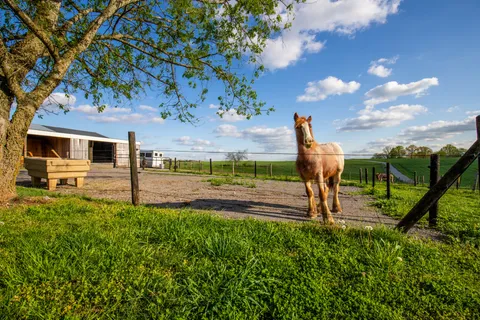 $895,000 | 501 Burnt Hill Road, Unionville, TN 37180