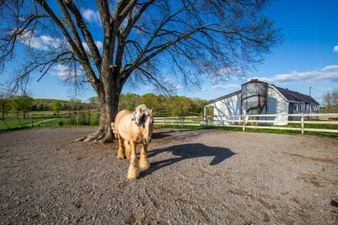 $895,000 | 501 Burnt Hill Road, Unionville, TN 37180