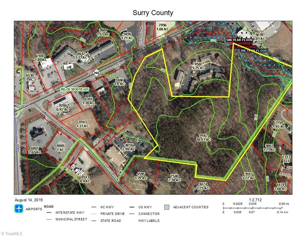18.8 South Key Street Pilot Mountain, NC 27041 - Photo 3 of 20 100 & 500 Year Flood map