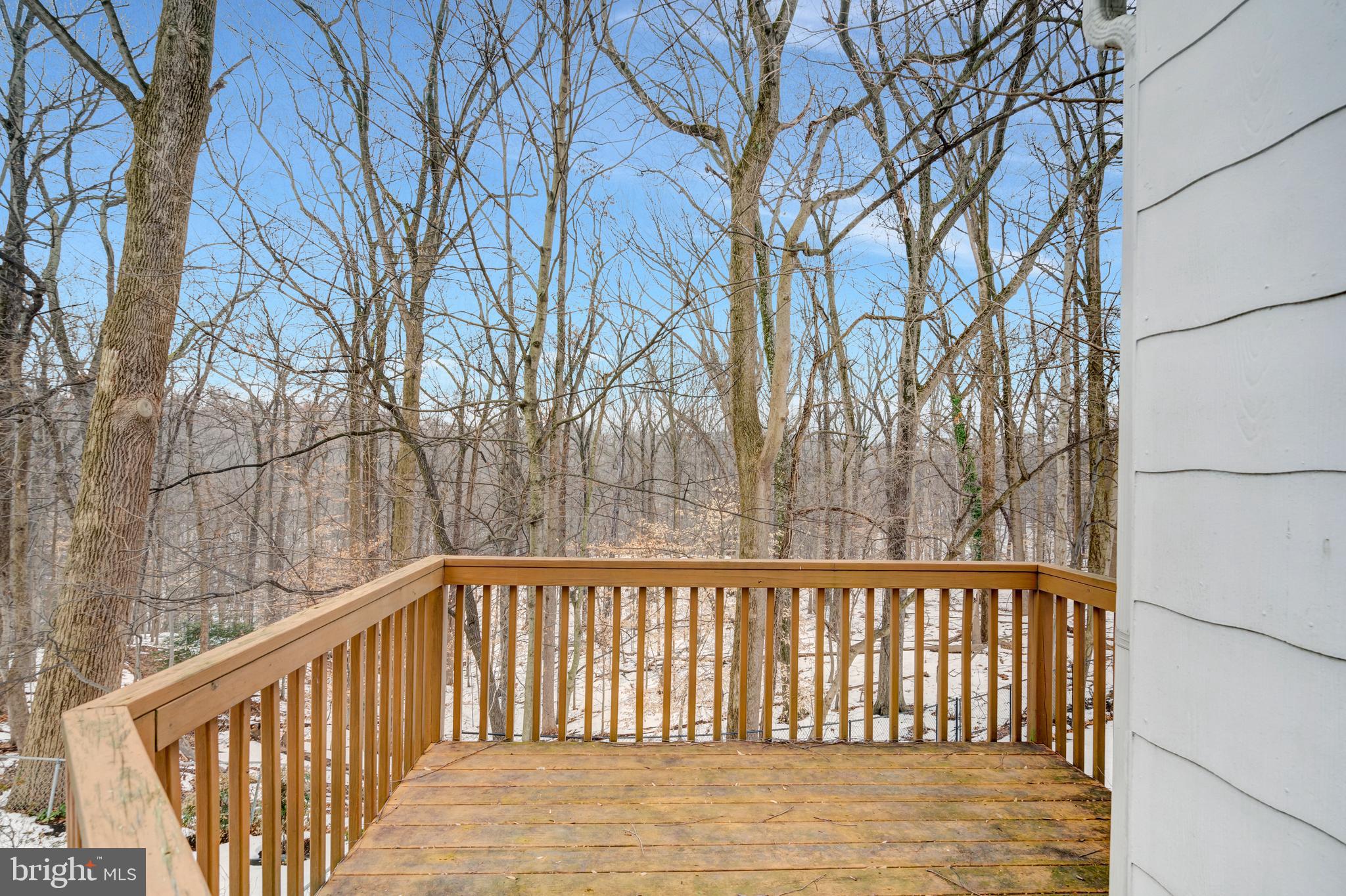 10001 Big Rock Road Silver Spring, MD 20901 - Photo 44 of 47