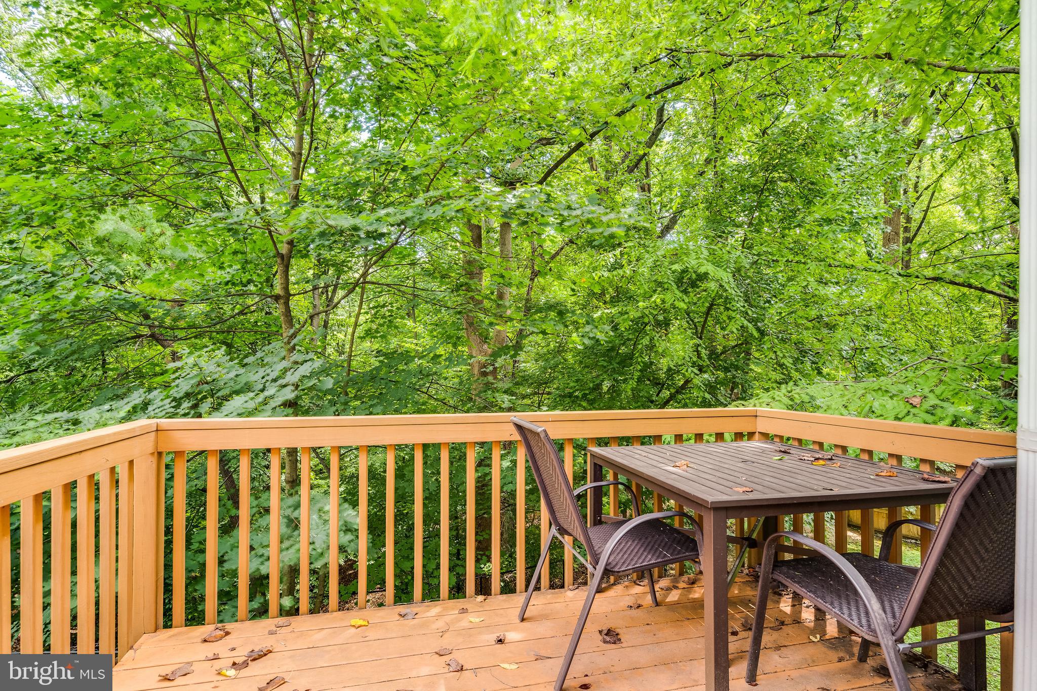 10001 Big Rock Road Silver Spring, MD 20901 - Photo 47 of 47