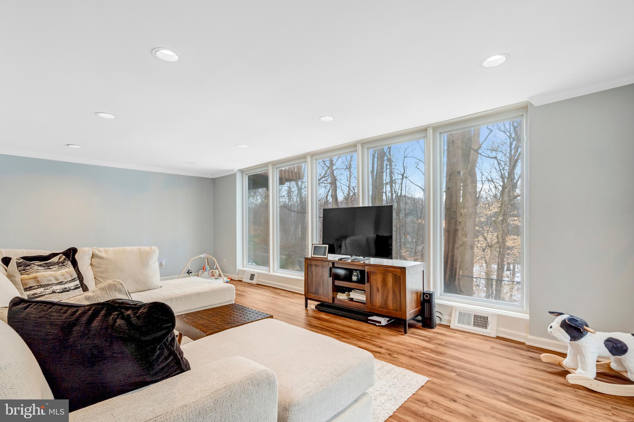 10001 Big Rock Road Silver Spring, MD 20901 - Photo 5 of 47