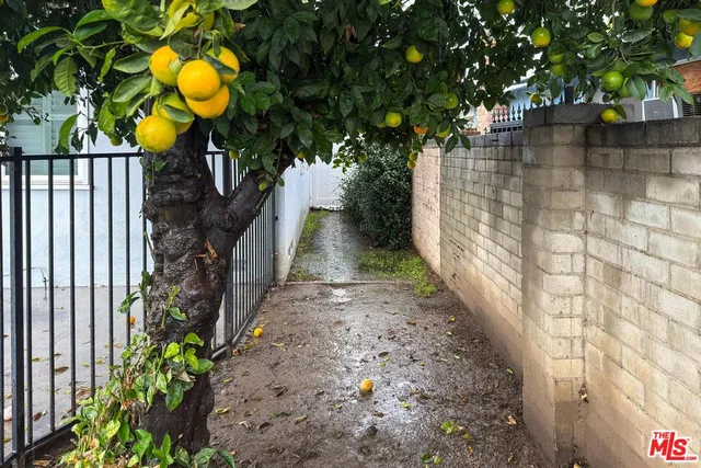 a view of a pathway with a tree in front of it