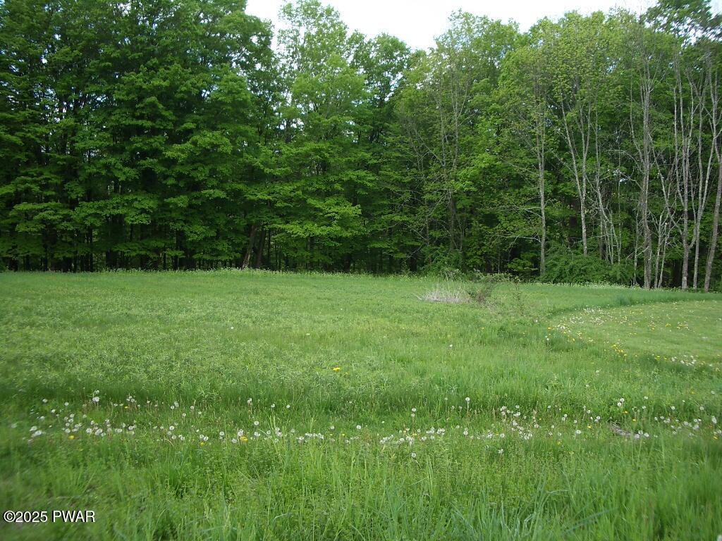4 Avoy Heights Road Lake Ariel, PA 18436 - Photo 5 of 9