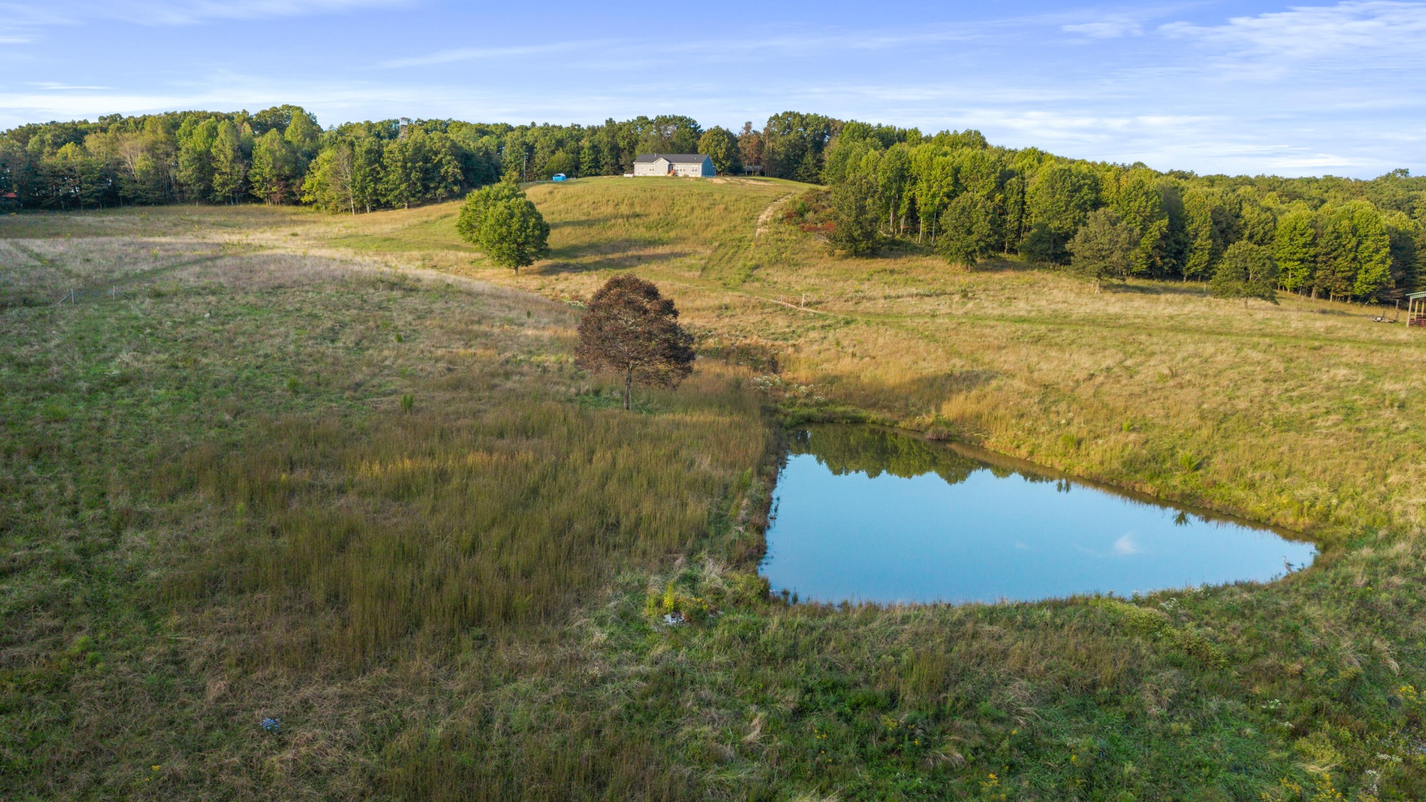 610 Summer City Firetower Road Pikeville, TN 37367 - Photo 43 of 60 a view of a lake with a mountain in the background