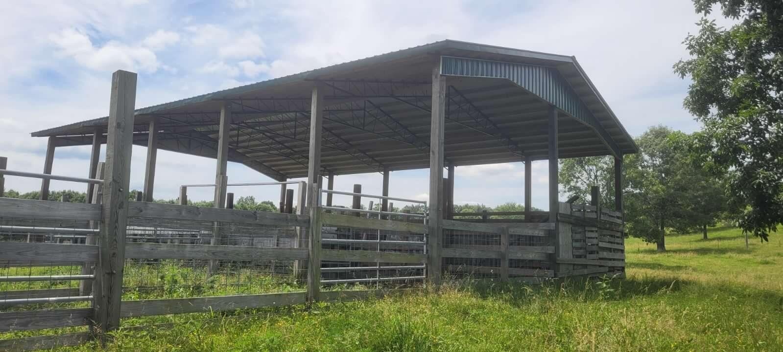 610 Summer City Firetower Road Pikeville, TN 37367 - Photo 48 of 60 a backyard of a house with lots of green space