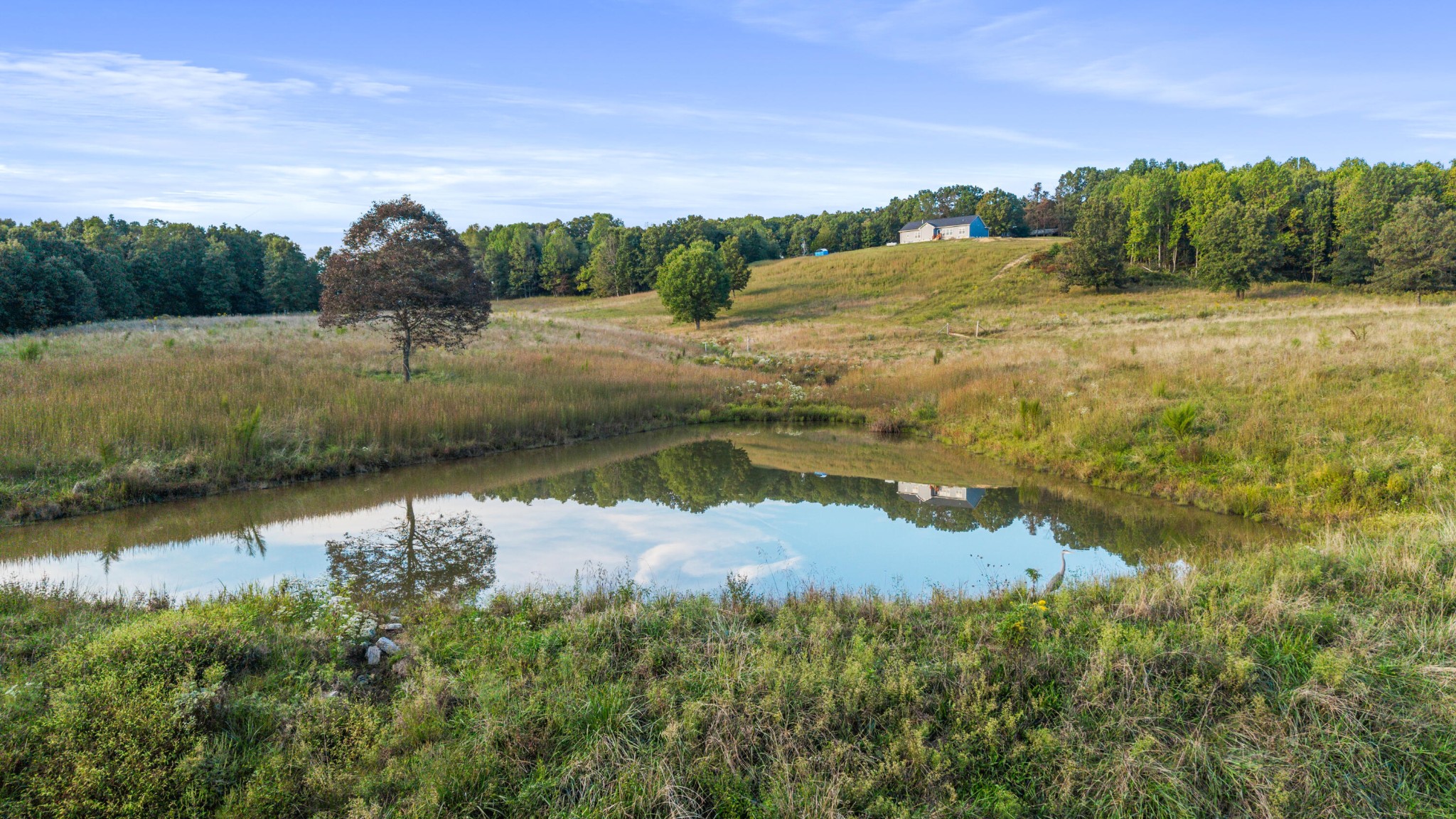610 Summer City Firetower Road Pikeville, TN 37367 - Photo 53 of 60 a view of lake with green space