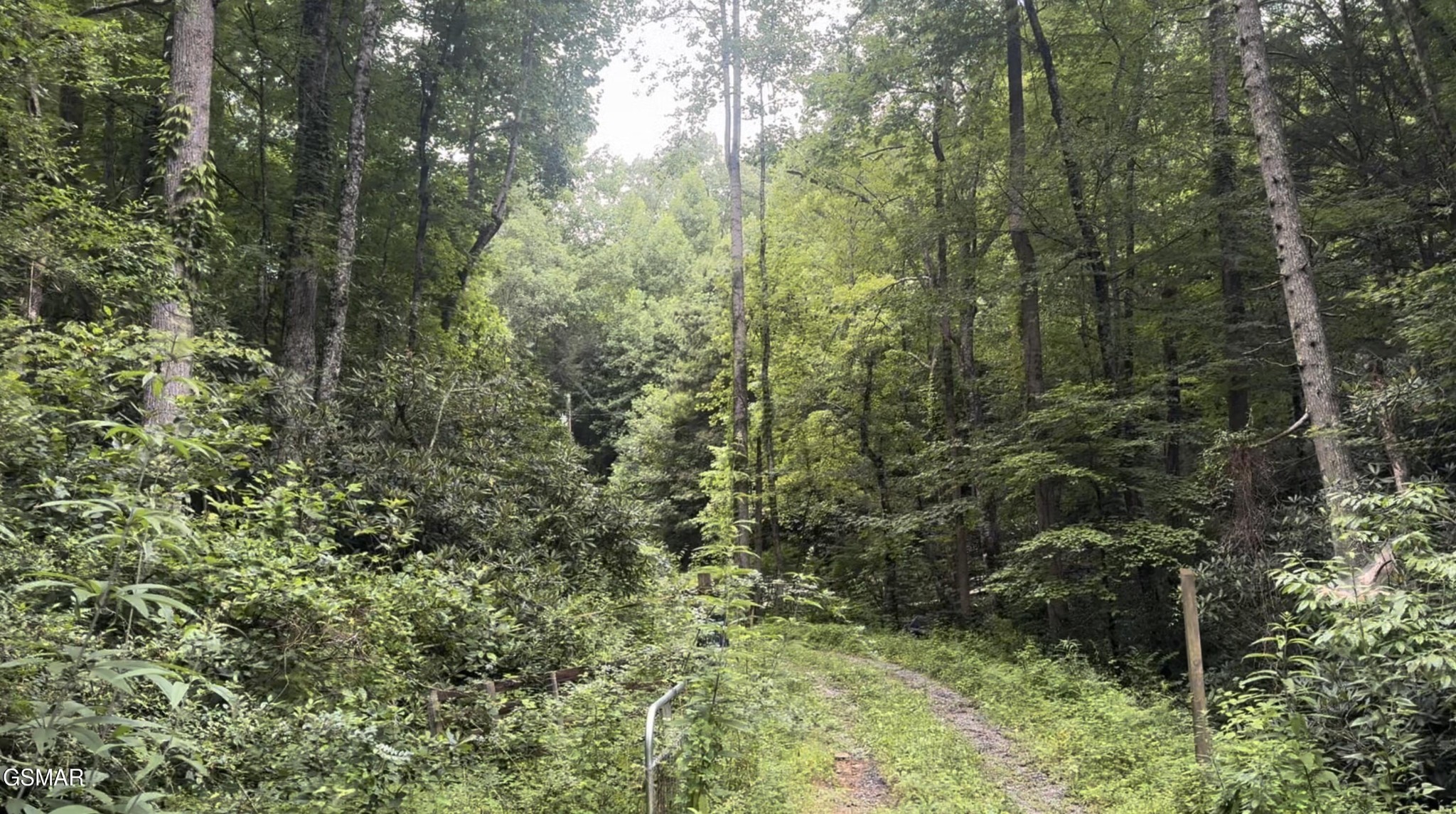 1210 Laurel Lick Road Pigeon Forge, TN 37862 - Photo 4 of 15