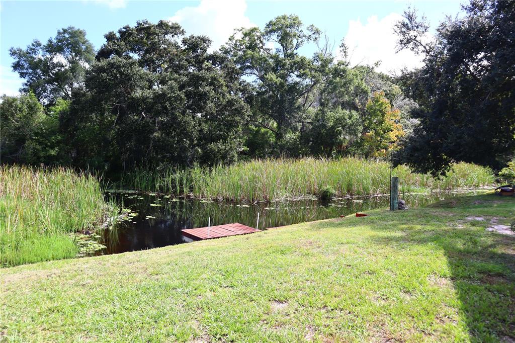 6443 Finance Avenue Weeki Wachee, FL 34607 - Photo 6 of 48 Gallery Image 6