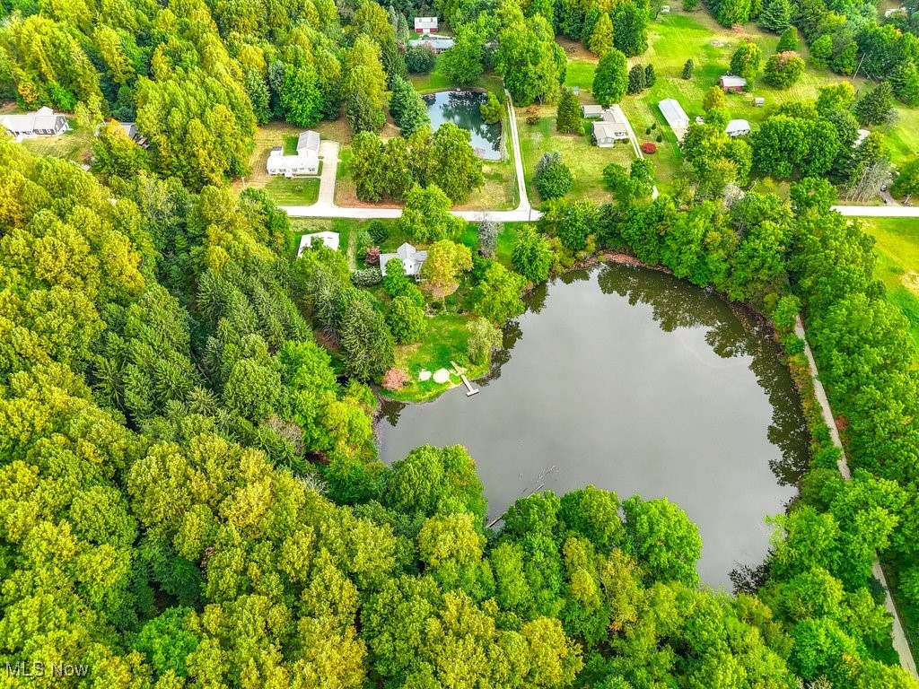 2980 Luli Road Mogadore, OH 44260 - Photo 16 of 50 Bird's eye view with a water view