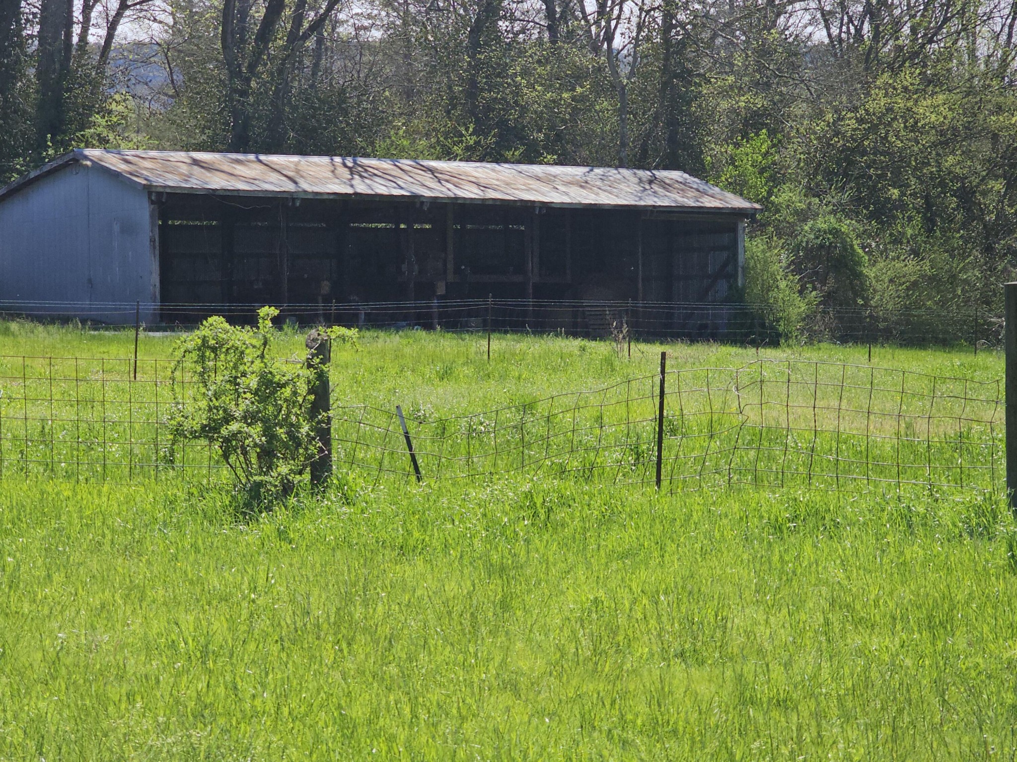 495 Lower East Valley Road Dunlap, TN 37327 - Photo 30 of 58 Gallery Image 30