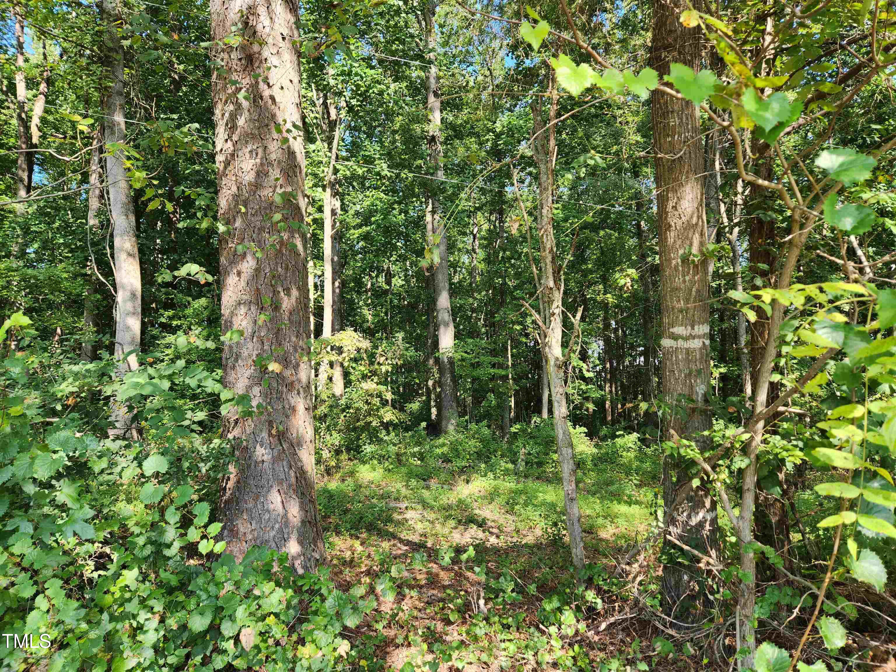 1565 Bowers Store Road Siler City, NC 27344 - Photo 44 of 44 Lot 1 Bowers Store