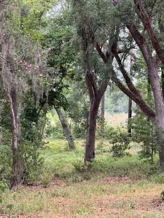 $332,700 | 521 Northeast Cherry Lake Circle, Madison, FL 32340