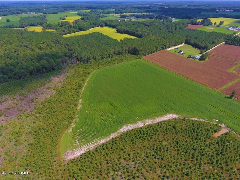 92.6 Scott Church Road Lucama, NC 27851 - Photo 12 of 41 9 (800x600)