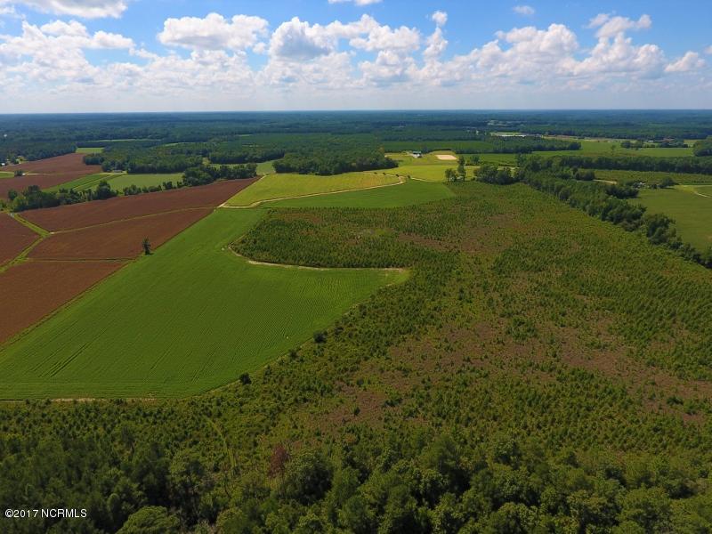 92.6 Scott Church Road Lucama, NC 27851 - Photo 13 of 41 10 (800x600)