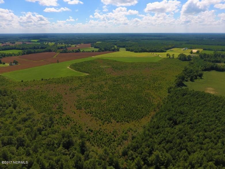 92.6 Scott Church Road Lucama, NC 27851 - Photo 14 of 41 11 (800x600)