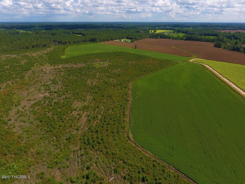 92.6 Scott Church Road Lucama, NC 27851 - Photo 18 of 41 15 (800x600)