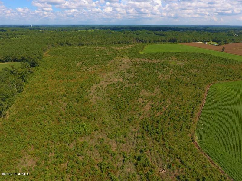92.6 Scott Church Road Lucama, NC 27851 - Photo 19 of 41 16 (800x600)