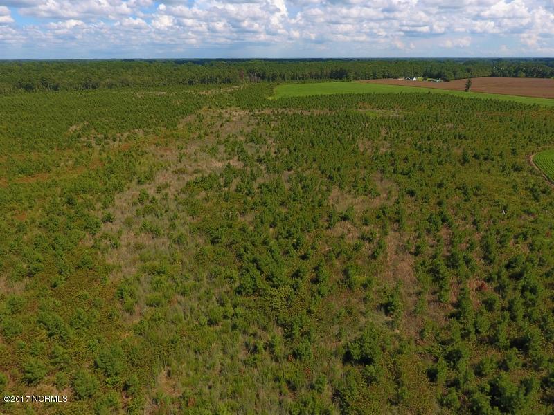 92.6 Scott Church Road Lucama, NC 27851 - Photo 20 of 41 17 (800x600)