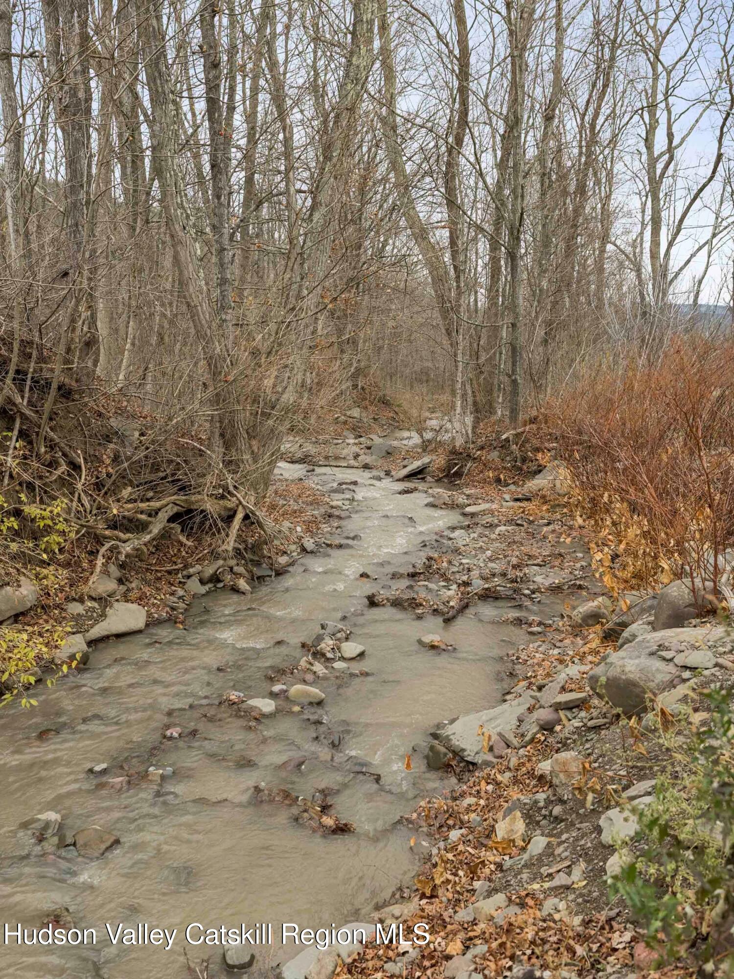 169 Mattice Road Prattsville, NY 12468 - Photo 41 of 52 a view of a yard with a tree
