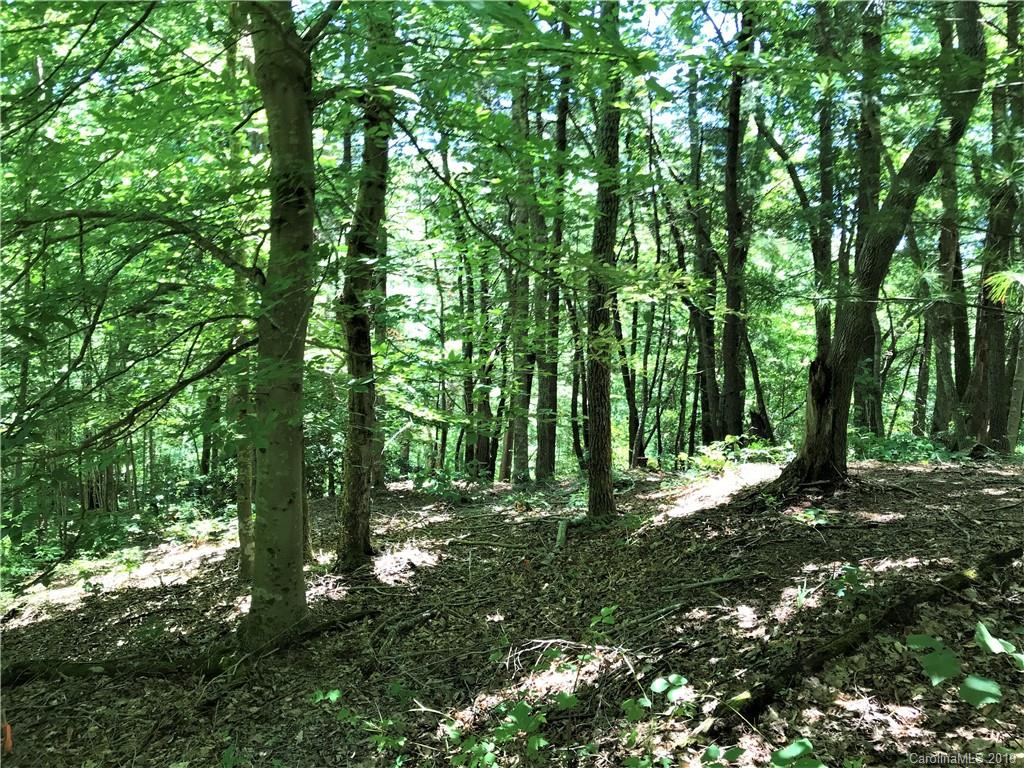 246 Ralphs Rock Ridge Road Hendersonville, NC 28739 - Photo 2 of 8