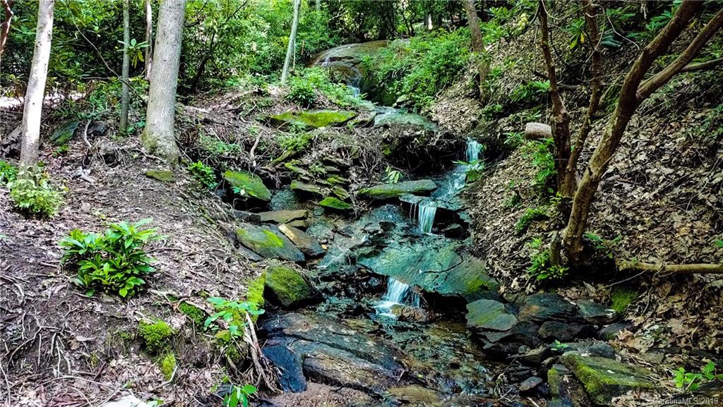 246 Ralphs Rock Ridge Road Hendersonville, NC 28739 - Photo 4 of 8