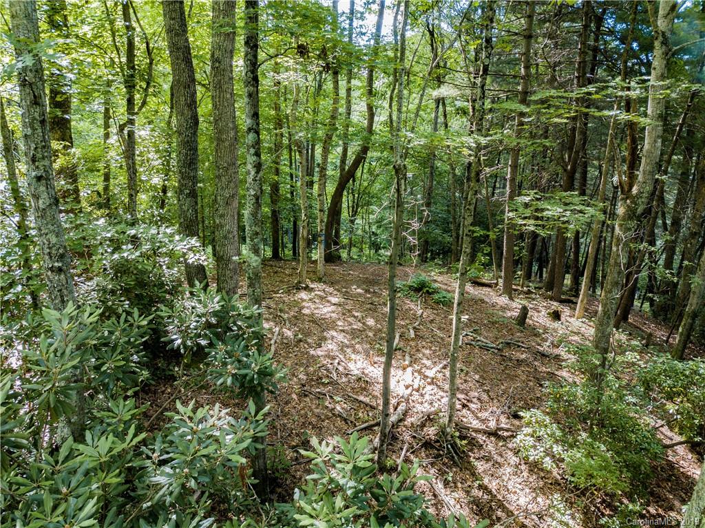 246 Ralphs Rock Ridge Road Hendersonville, NC 28739 - Photo 5 of 8