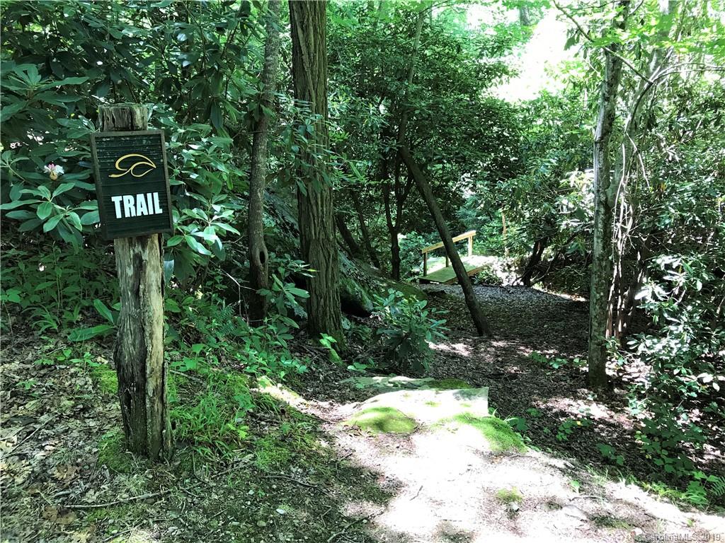 246 Ralphs Rock Ridge Road Hendersonville, NC 28739 - Photo 6 of 8