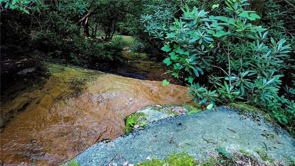 246 Ralphs Rock Ridge Road Hendersonville, NC 28739 - Photo 8 of 8