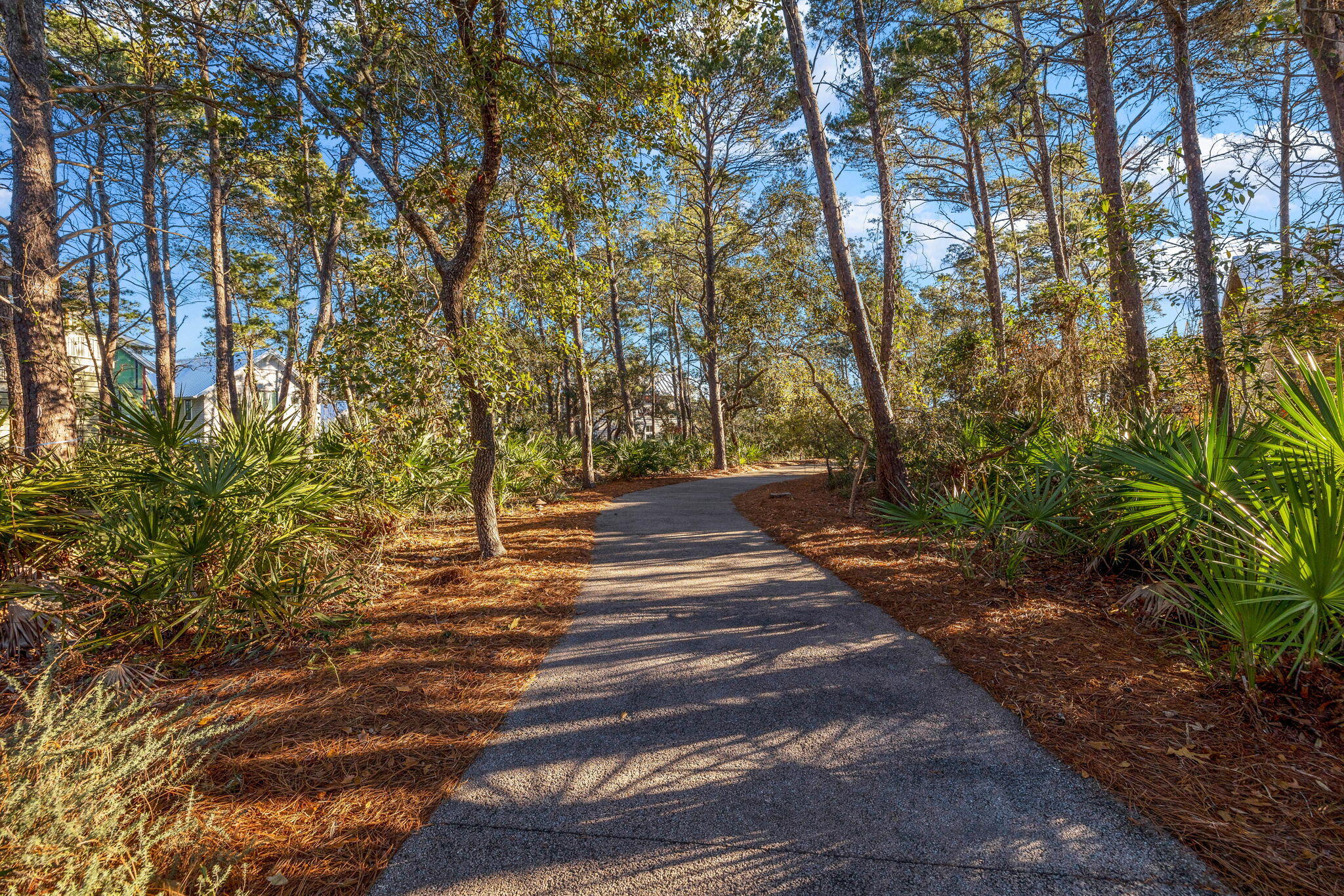 7-6 Cedar Post Road Santa Rosa Beach, FL 32459 - Photo 12 of 37 a view of yard with trees